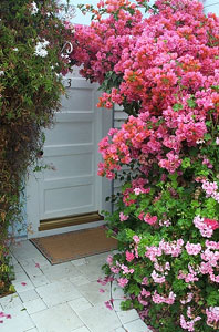 Flowery entrance